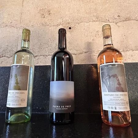Choza Vinedo Bodega 1881 Pensionat San Luis Potosí Eksteriør billede